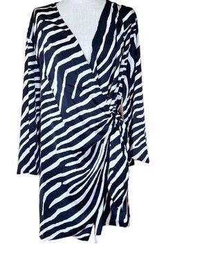H&M Black and White Zebra-Stripe Dress